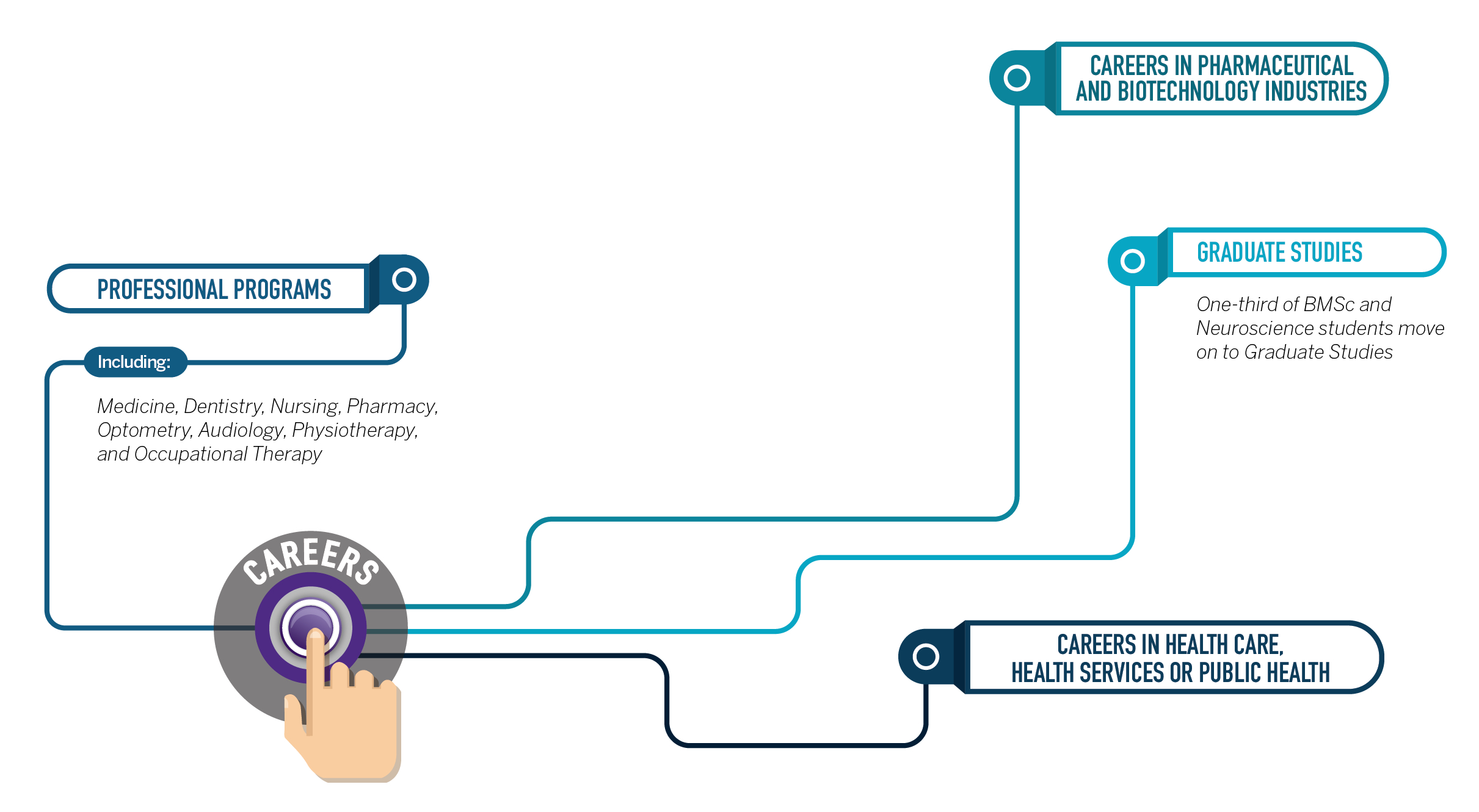 Career Network Graphic, Transcript below